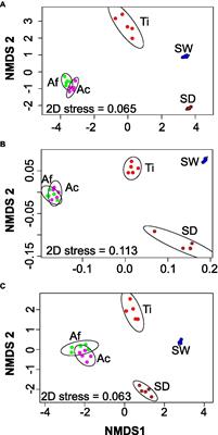 Prokaryotic, Fungal, and Unicellular Eukaryotic Core Communities Across Three Sympatric Marine Sponges From the Southwestern Atlantic Coast Are Dominated Largely by Deterministic Assemblage Processes